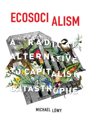 cover image of Ecosocialism